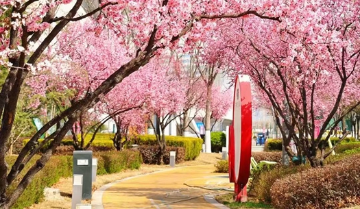 駛向春光里！城發(fā)集團(tuán)奏響“爭(zhēng)春奮進(jìn)曲”